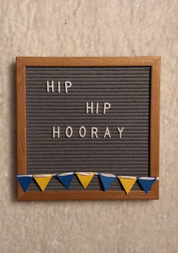 Our hip dysplasia journey- Hip Hip Hooray!