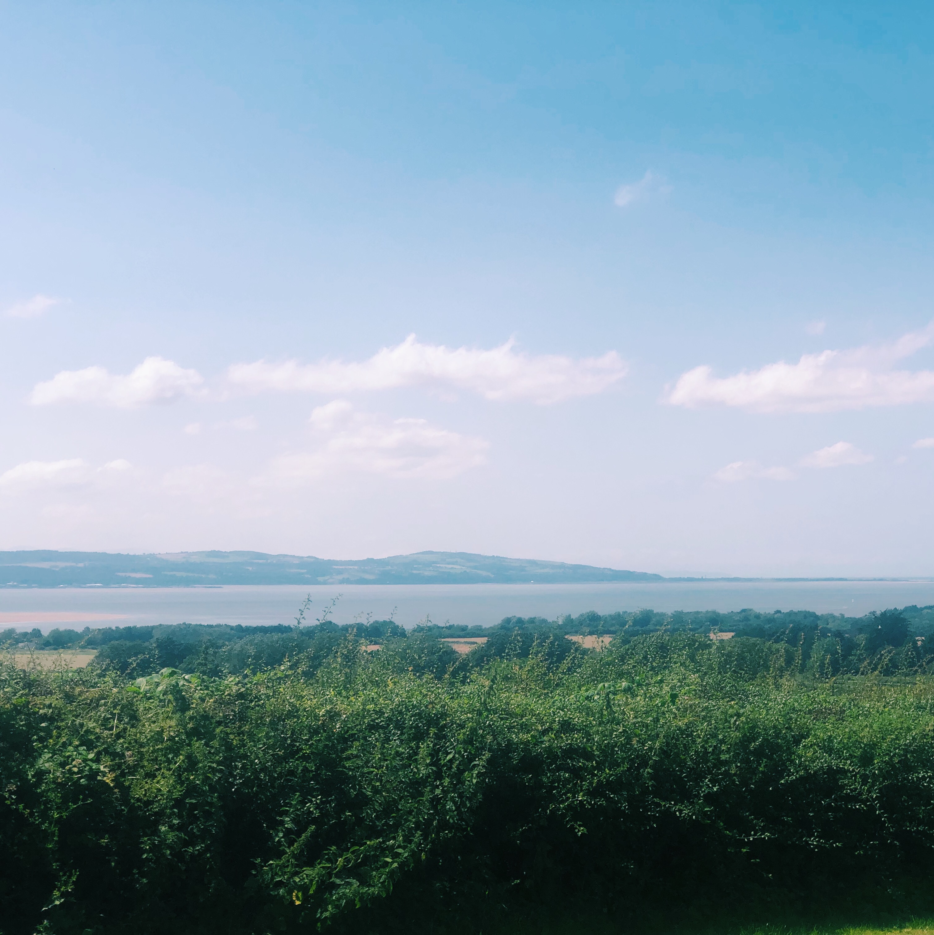 River see