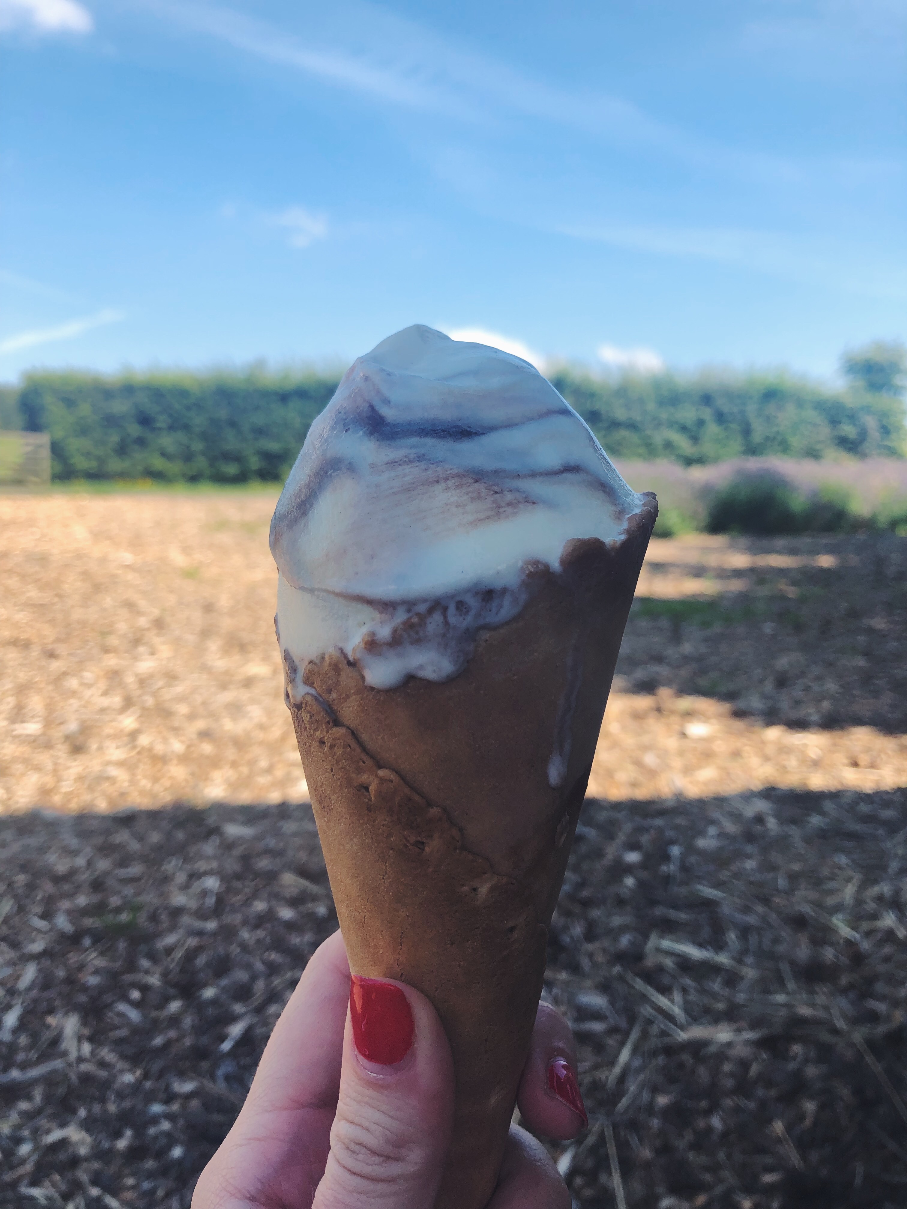 Ice cream