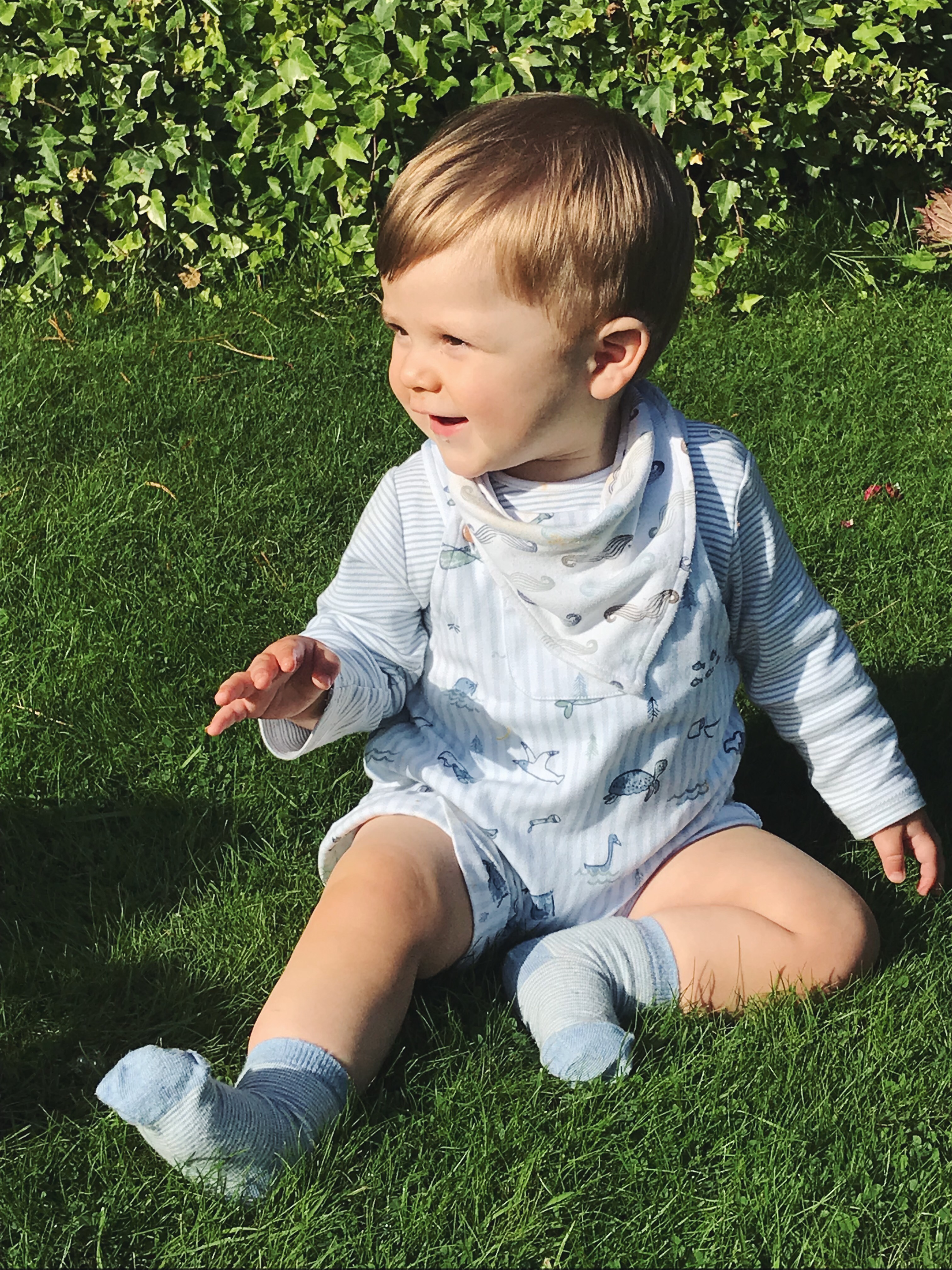 Baby Valley Gardens 