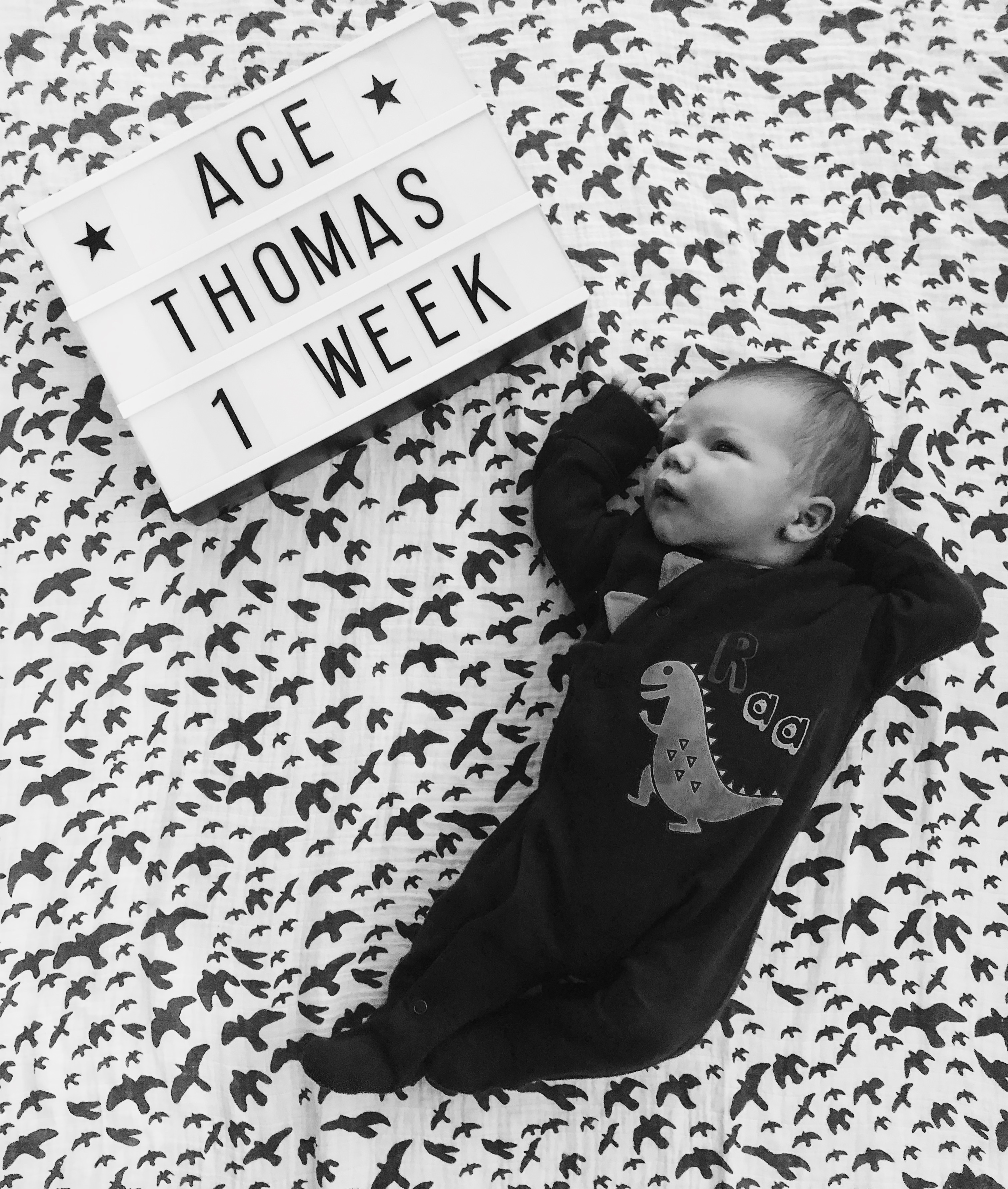 Baby boy milestone picture